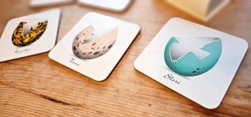 Untersetzer Set - 6 Stück - Vogel-Eierschalen Design