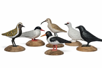 Vögel Islands - 6er Spar-Set Holzfiguren