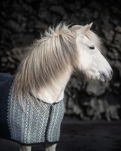 Abschwitzdecke Isländer - Borg - schwarz