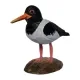 Isländischer Vogel - Austernfischer Holzfigur