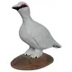 Isländischer Vogel - Schneehuhn Holzfigur
