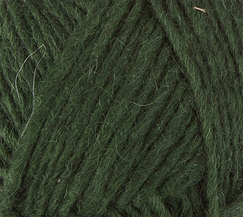 Álafosslopi - Farbnummer 1231 - tannengrün