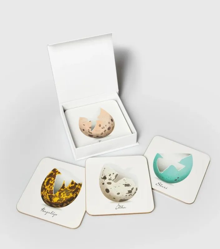 Untersetzer Set - 6 Stück - Vogel-Eierschalen Design