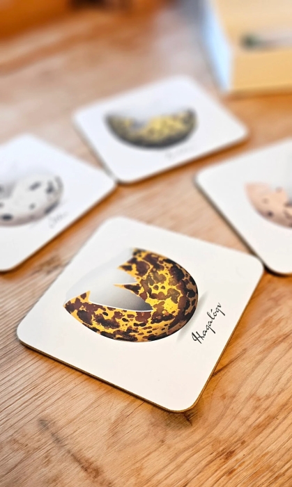 Untersetzer Set - 6 Stück - Vogel-Eierschalen Design