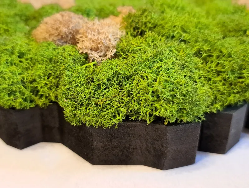 Islandmoos auf Holzfaserplatte - Island-Umriss - Größe 34 x 23 cm