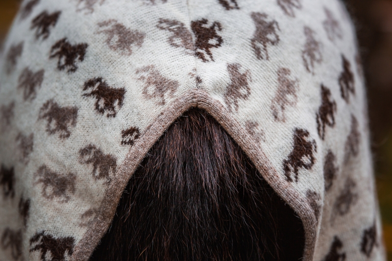 Abschwitzdecke Islandpferde - Wolle - Tölter beige