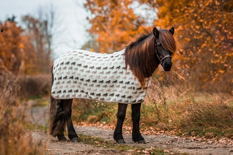 Abschwitzdecke Islandpferde - Wolle - Tölter beige