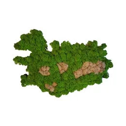 Islandmoos auf Holzfaserplatte - Island-Umriss - Größe 34 x 23 cm